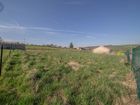Estate Agents Picture 2