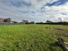 Estate Agents Picture 2