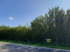 Estate Agents Picture 2