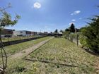 Estate Agents Picture 2