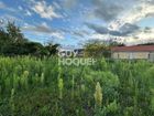 Estate Agents Picture 2
