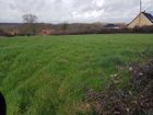 Estate Agents Picture 1