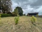 Estate Agents Picture 2
