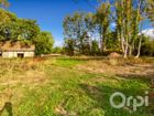 Estate Agents Picture 1
