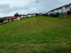 Estate Agents Picture 2