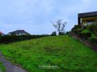 Estate Agents Picture 2
