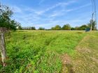 Estate Agents Picture 1