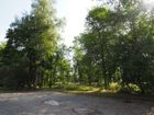 Estate Agents Picture 1