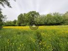 Estate Agents Picture 3