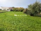 Estate Agents Picture 3