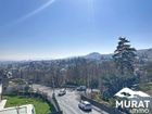 Estate Agents Picture 2