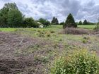 Estate Agents Picture 2