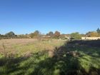 Estate Agents Picture 1