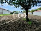 Estate Agents Picture 2