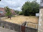 Estate Agents Picture 1