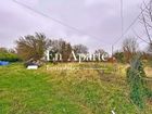 Estate Agents Picture 2