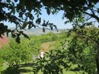 Estate Agents Picture 1