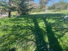 Estate Agents Picture 2