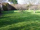 Estate Agents Picture 2