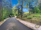 Estate Agents Picture 3