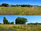 Estate Agents Picture 2