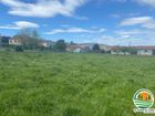 Estate Agents Picture 2