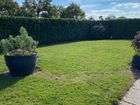 Estate Agents Picture 1