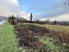 Estate Agents Picture 3