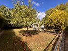 Estate Agents Picture 2