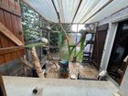 Estate Agents Picture 2
