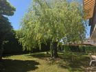 Estate Agents Picture 2