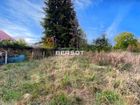 Estate Agents Picture 2