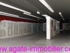 Estate Agents Picture 3