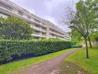 Estate Agents Picture 2