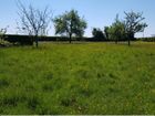 Estate Agents Picture 2