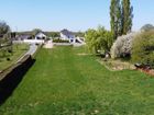 Estate Agents Picture 2