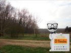 Estate Agents Picture 1