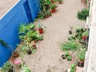 Estate Agents Picture 2