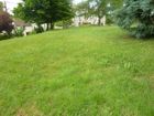 Estate Agents Picture 2