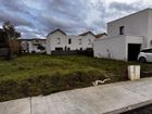 Estate Agents Picture 2