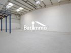 Estate Agents Picture 2