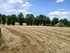 Estate Agents Picture 1