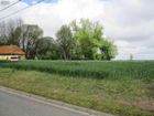 Estate Agents Picture 2