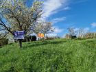 Estate Agents Picture 2
