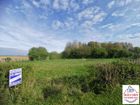 Estate Agents Picture 1