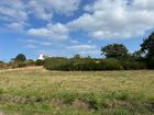 Estate Agents Picture 2