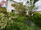 Estate Agents Picture 3