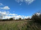 Estate Agents Picture 2