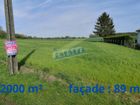 Estate Agents Picture 1