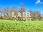 Estate Agents Picture 3